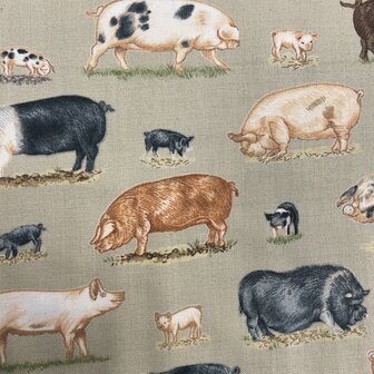 Farm Animals Pigs