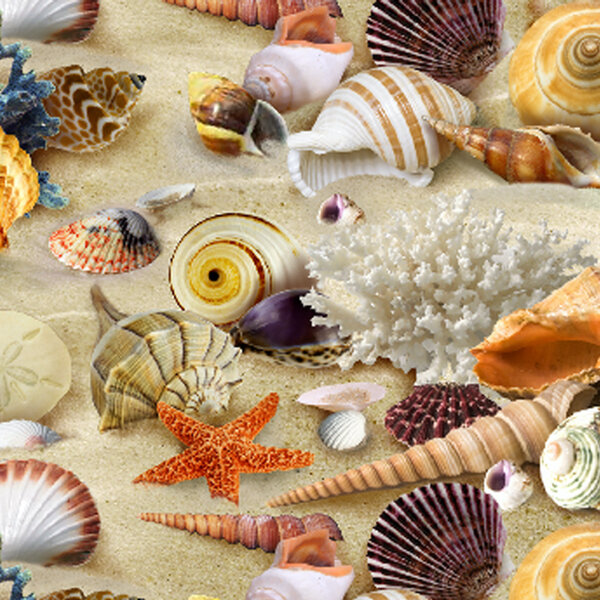 Landscape Medley, packed Shells Sand