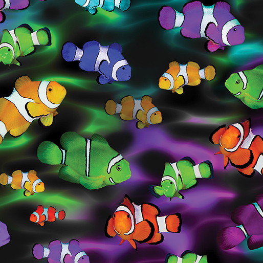 Life is a Beach, Rainbow Clownfish